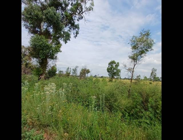 87,023M² VACANT LAND FOR SALE IN OPHIR AH